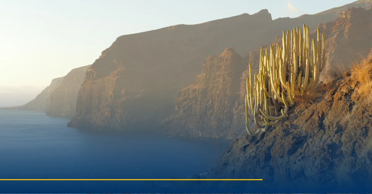 Weather Tenerife in January